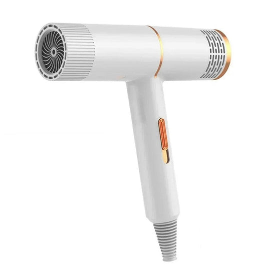 Professional High-Power Hair Dryer | Fast, Frizz-Free & Safe